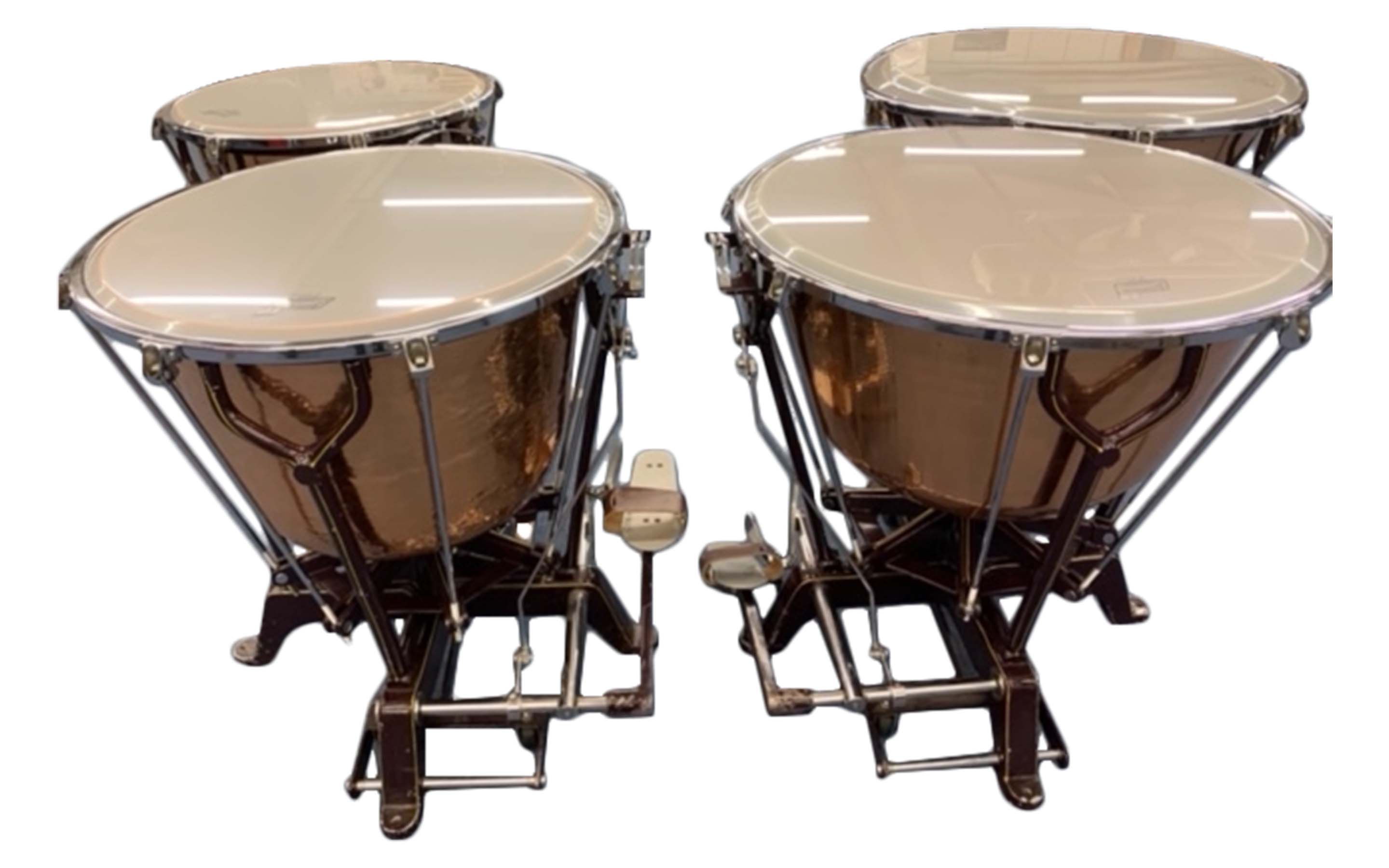 Ringer Timpani